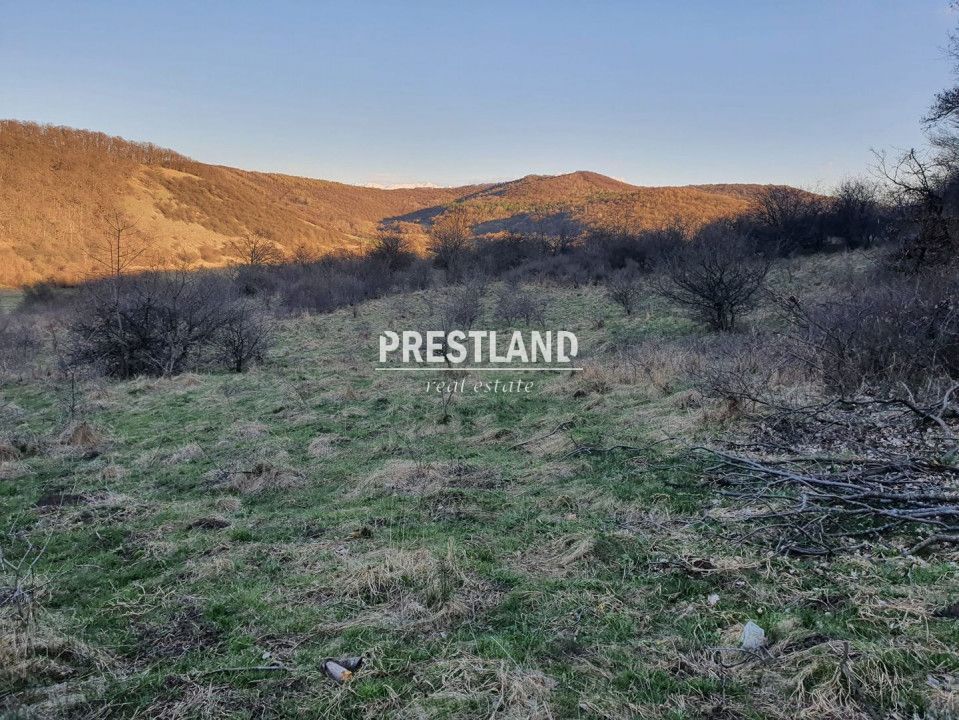Teren 46.300 mp-zona Gușterița!! - Poză 6