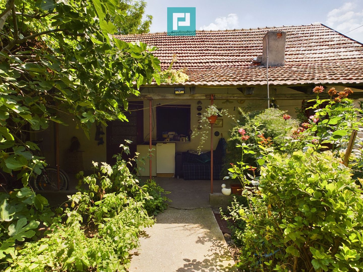 Casă cu livadă de pomi în Dorobanți - Poză 13