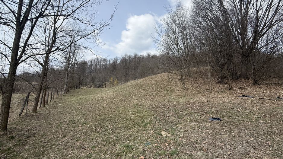 Teren 6040 mp la baza pădurii deschidere 40 ml - Poză 13