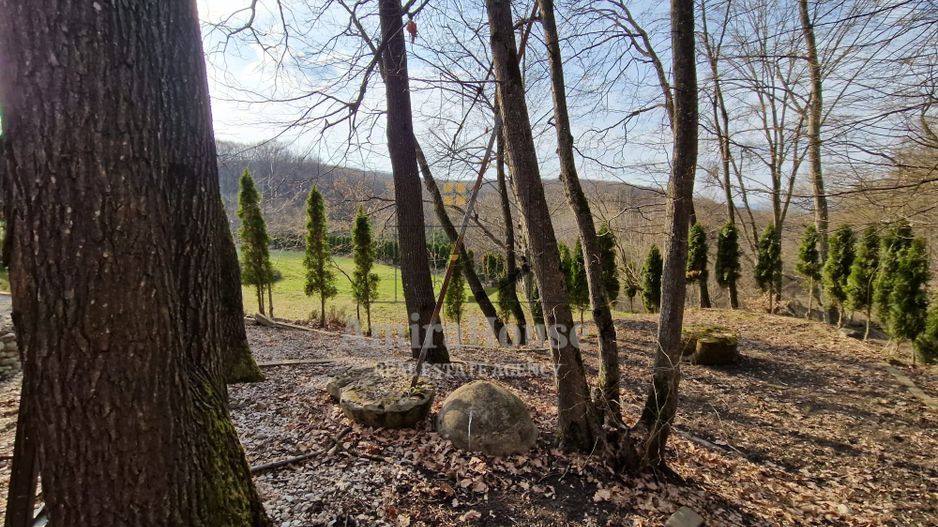 Casa din lemn D+P+M de 400 mp utili si teren 3.000 mp zona Faget - Poză 20