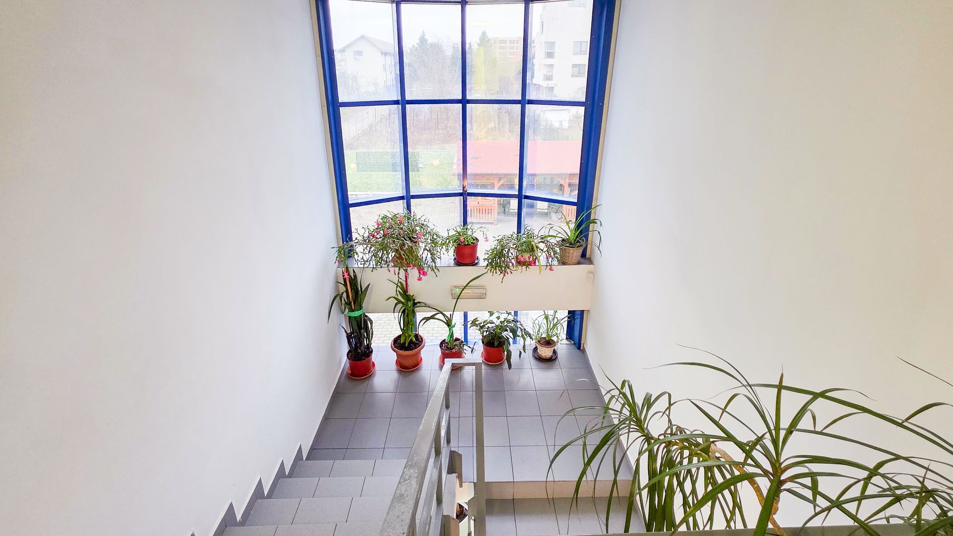 Spațiu industrial–afacere catering la cheie, teren&hală 750 mp S+P+1E - Poză 9