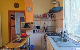 Lunei - Ion Neculce, 2 Apartamente. Mansarda 157 mp. Anexe, Lot 475 mp - Poză 29