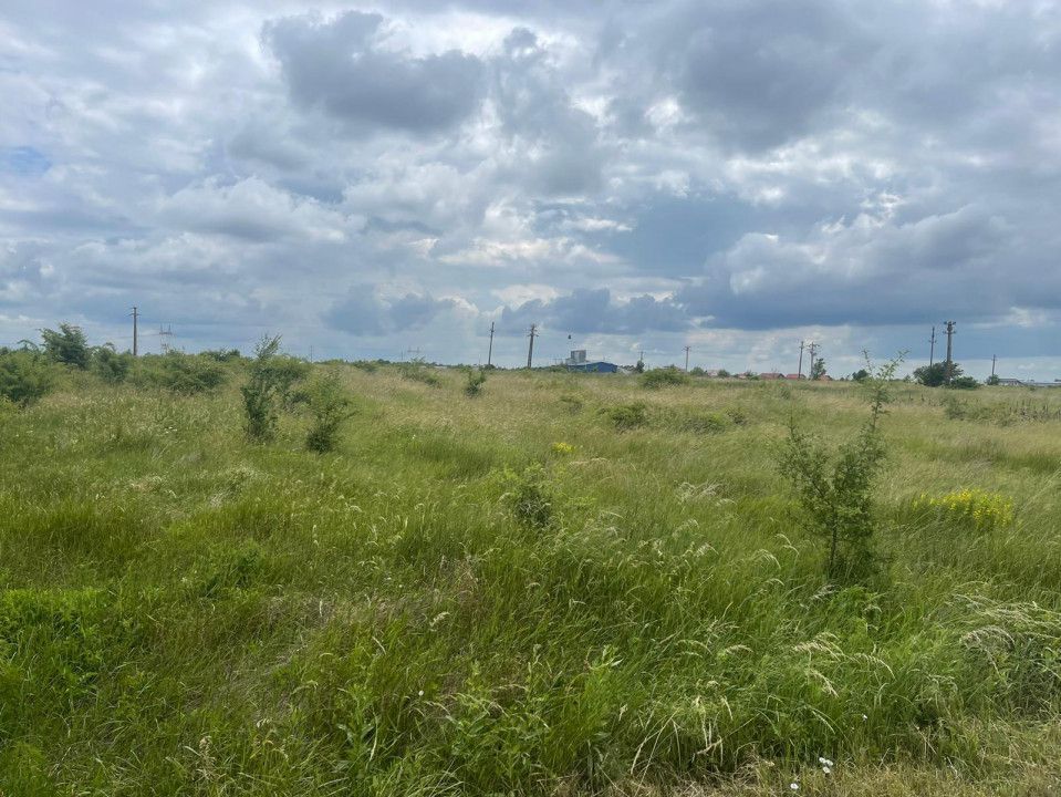 AZURA Imobiliare Pitesti - Teren de Vanzare Albota - Poză 4