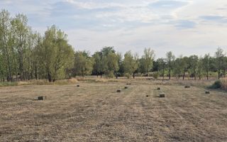 Teren intravilan 6.514mp | 39m front stradal | Ciocaia | Săcuieni - Poză 4