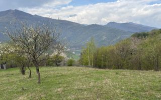 Teren de vânzare, 7750 mp I Orientare sudică I Caineni - Poză 5