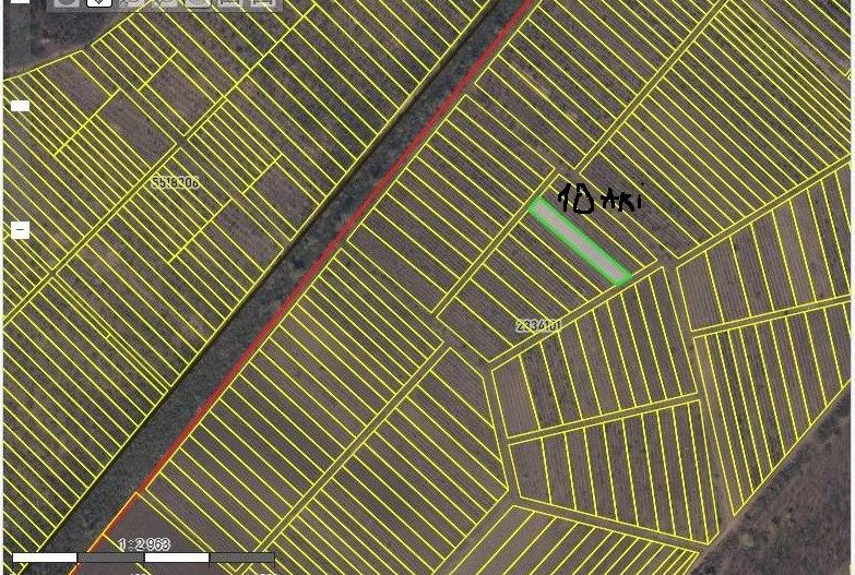 Oportunitate de Investiție – Teren Agricol 35 Ari în comuna Răzeni, r. Ialoveni - Poză 6