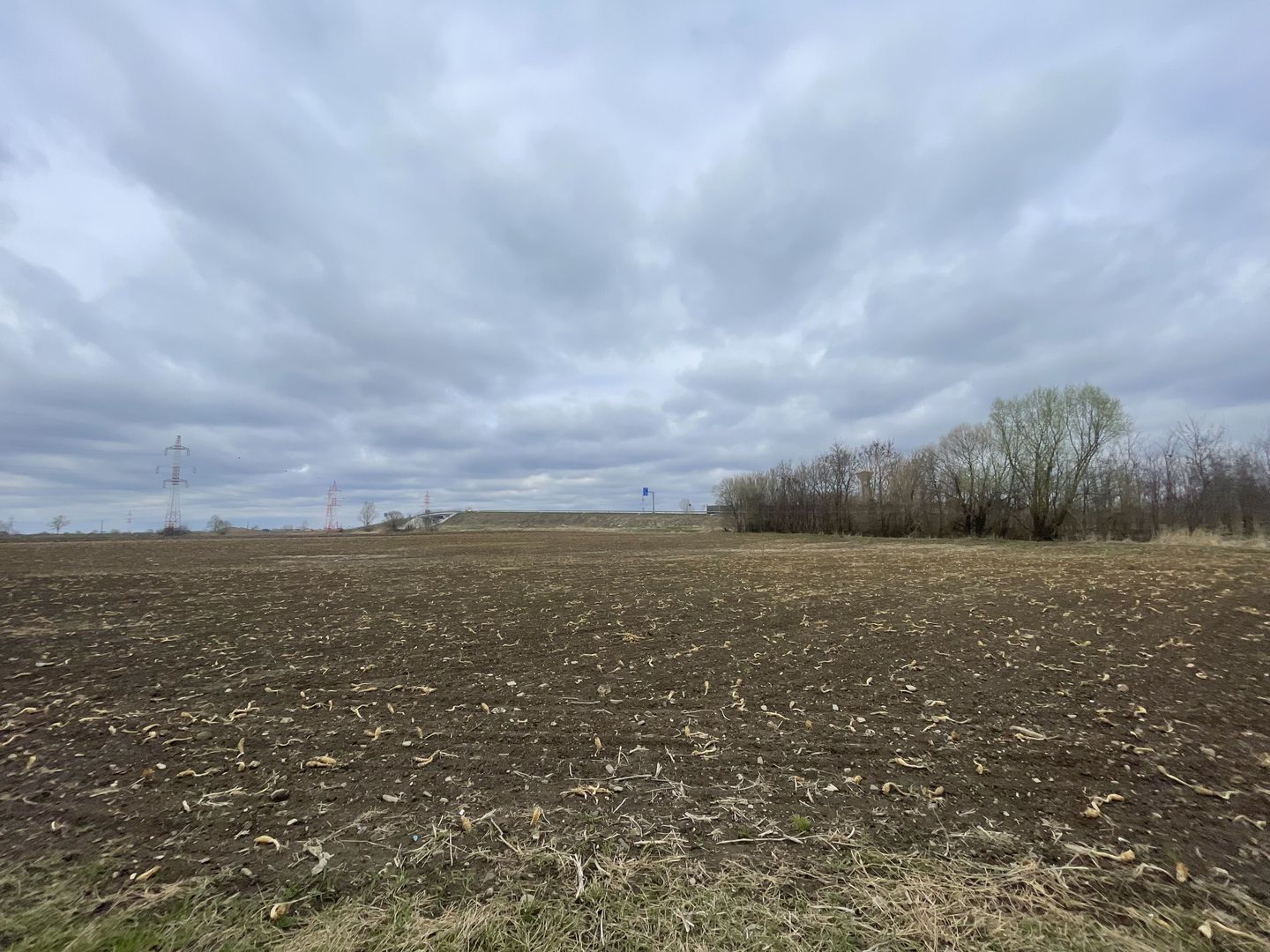 TEREN INTRAVILAN | 50 ARI | ZONA PERIFERICA RADAUTI - Poză 2