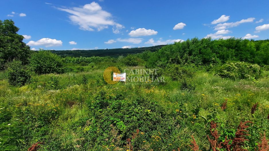 🌳 🌞🌿 TEREN INTRAVILAN OSOI 2800 mp - 49.999 Euro ! 🌳🌞🌿 - Poză 8