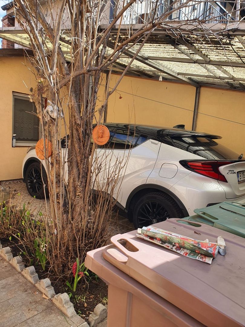 Casa de inchiriat - Domenii - Poză 9