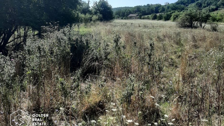 Terenuri 3699 mp, oras Lipova - Poză 3