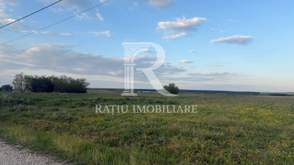 Teren extravilan | Păușa | Bihor - Poză 1