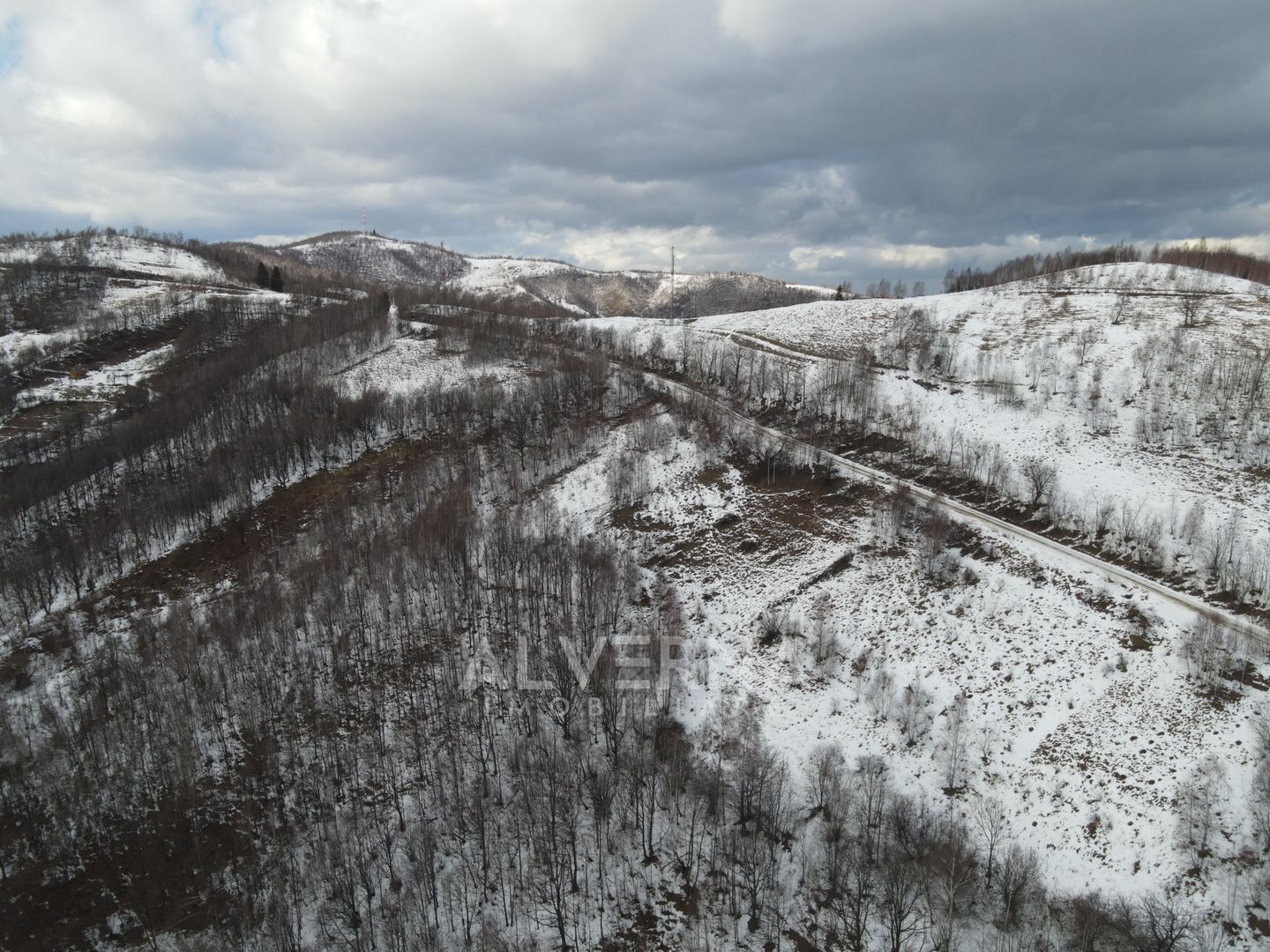 Teren intravilan 3127mp Front 47m | drum asfaltat | Plopi Valea Ierii - Poză 2