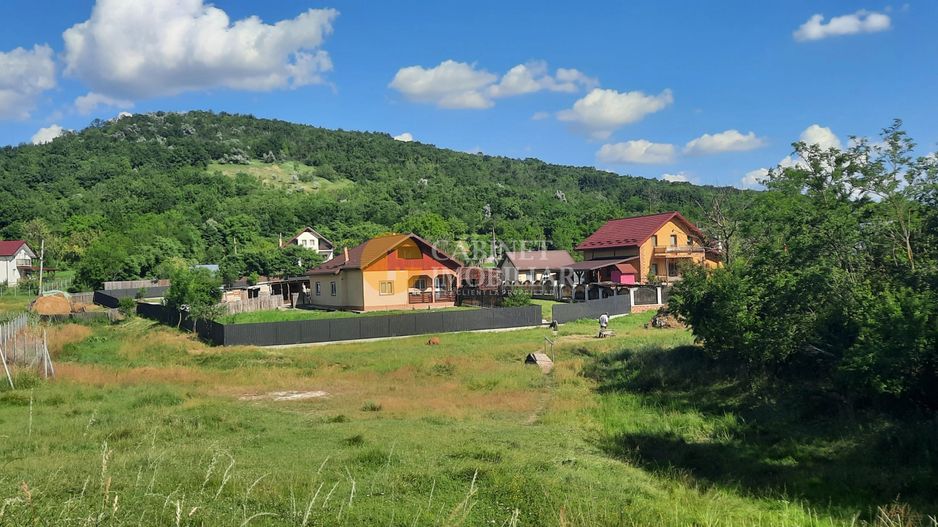 Casă / Vilă cu 2 camere de vânzare în Totoesti - Poză 3