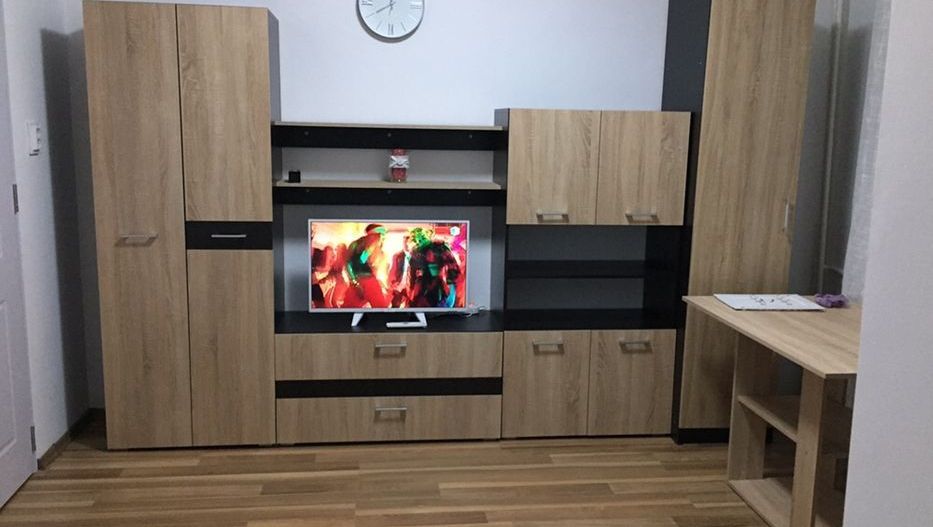 STUDIO TEIUL DOAMNEI | FACULTATEA DE CONSTRUCTII - Poză 1