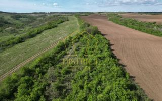 Casa de vacanta cu teren si padure de 3.8ha | Nadas | Herneacova - Poză 10
