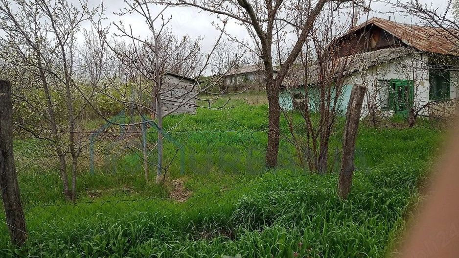 Casă și teren în Sat Cuza Vodă, comuna Popricani - Poză 3