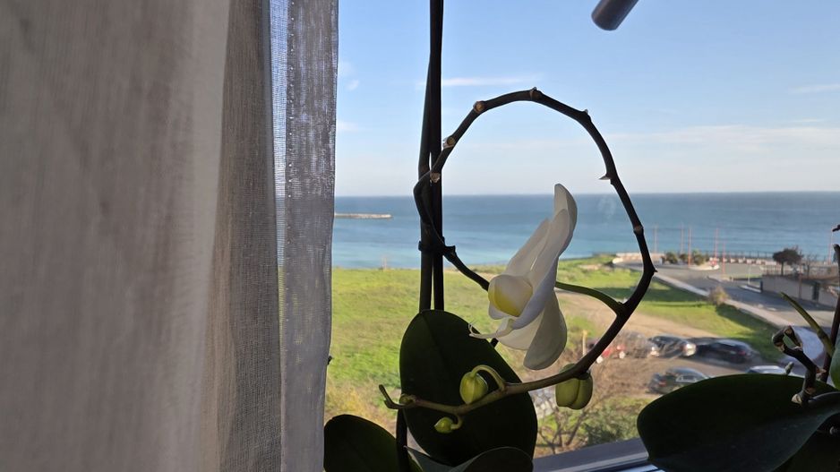 Apartament de lux 4 camere cu vedere la mare – Faleza Nord - Poză 2