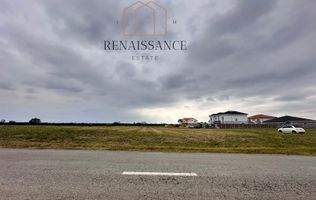 Mosnita Noua Teren 10.000mp | Front 63m | La asfalt - Zona de Case