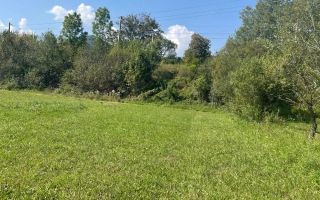 Teren de vânzare, 2.500 mp, Prisaca Dornei, zona Hurghiș, Câmpulung Moldovenesc - Poză 4