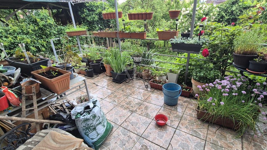 Casa individuala retrasa de la traficul cotidian - Poză 1