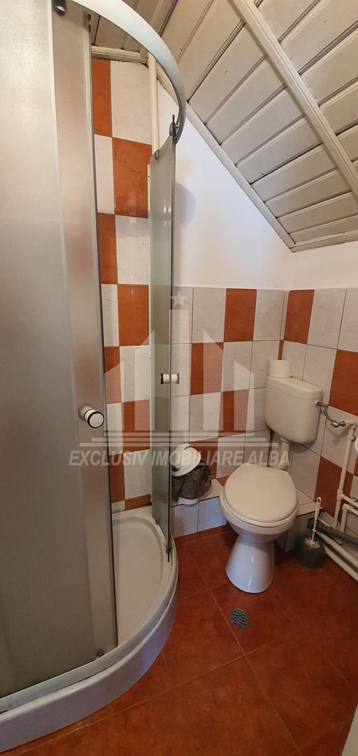 Cazare la pensiune in Centru - Poză 5