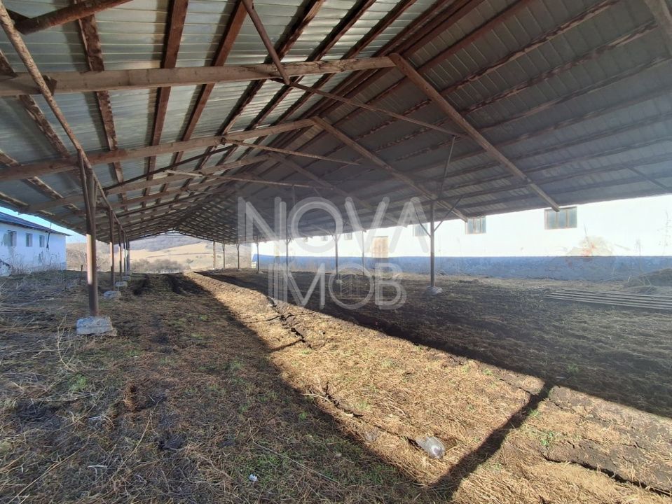 Ferma complet echipata de vanzare – zona Agnita, judetul Sibiu - Poză 10