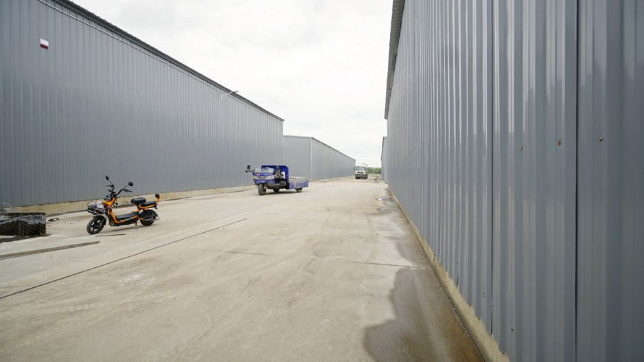 Hala Depozitare Afumati - Poză 4