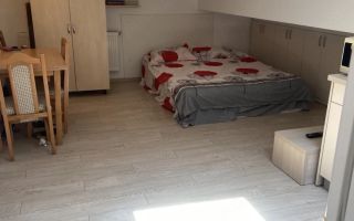 Apartament 2 camere, mobilat, zona Gării Iași - colegă de apartament - Poză 1