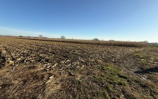 TEREN EXTRAVILAN  51 ARI |  HORODNIC DE JOS  | - Poză 3