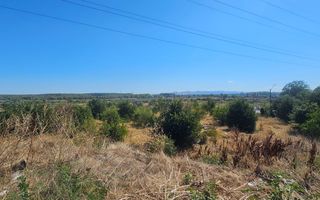 Teren intravilan 14.168 mp – pozitie excelenta la intrarea in Braila - Poză 4