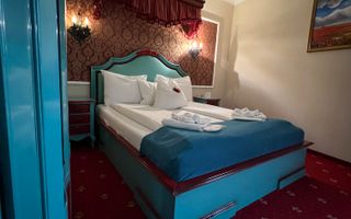 Vila de vanzare in zona Centrala/Orasul de jos - Poză 10