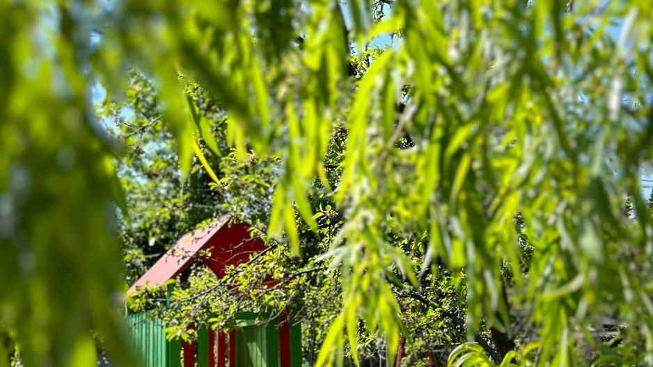 Locuinta individuala /teren 772mp/zona OBSERVATOR - Poză 32