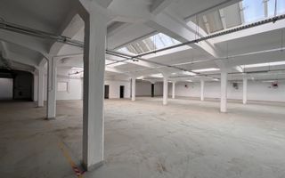 Hale de inchiriat suprafete 100 pana la 1200 mp - Poză 1