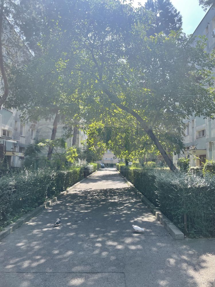 Vanzare 2 camere, in Gheorgheni, zona Hermes - Poză 8