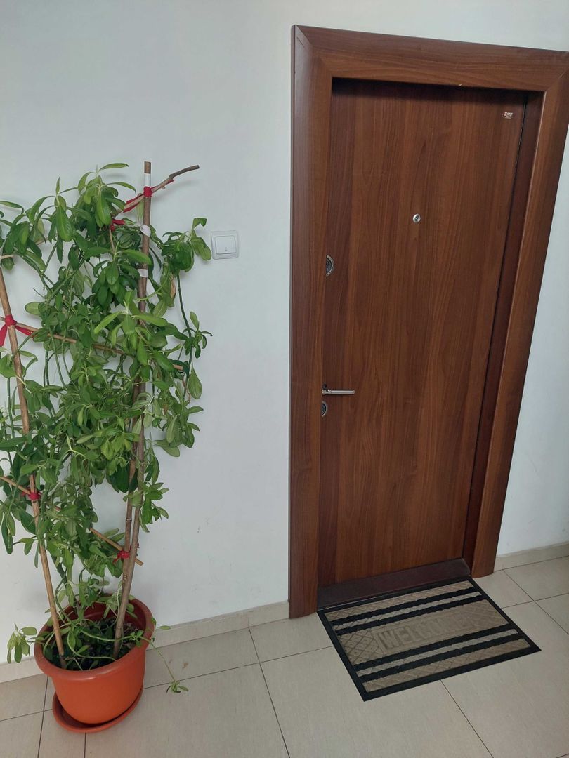 2 camere | birou - punct de lucru | Vasile Lascar | Dacia - Poză 8