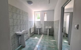 Clădire de birouri cu hala industriala si teren 1464mp | Mehala - Poză 16
