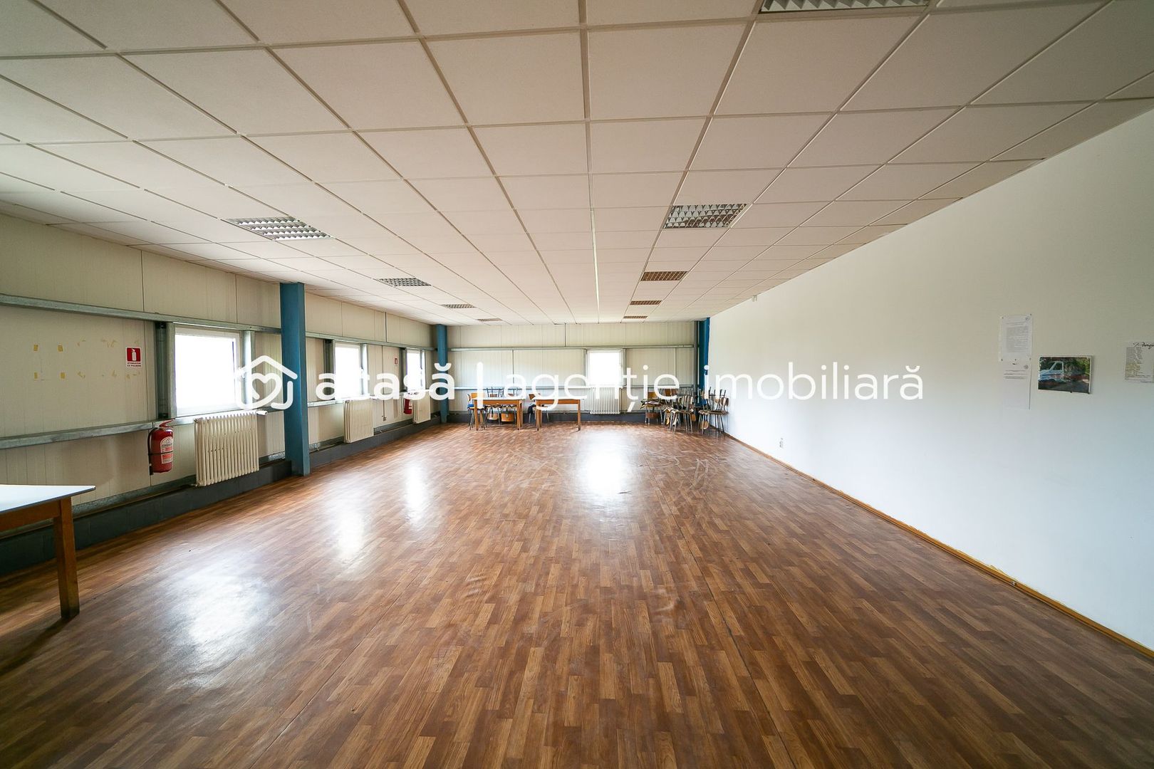 Hală industrială/producție în Lipova - Arad - Poză 7