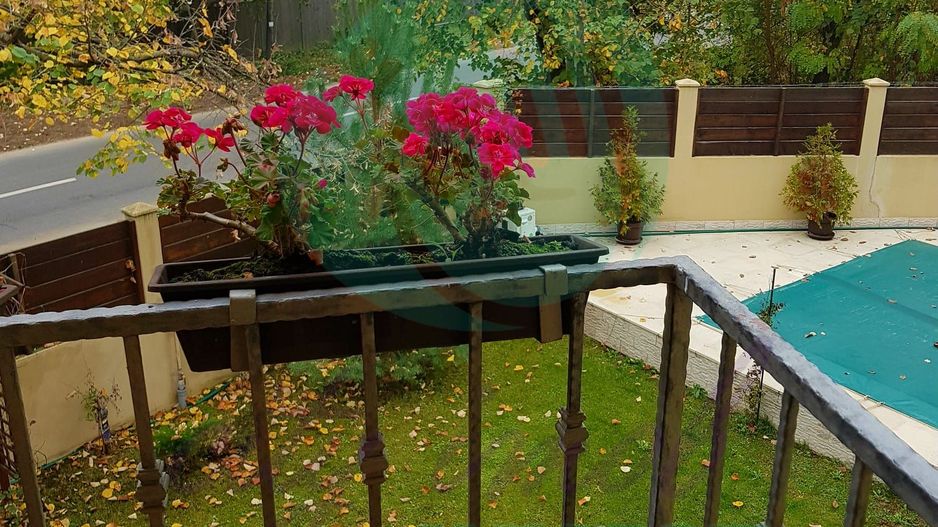 Silistea Snagovului-Casa de VACANTA  cu piscina - Poză 17