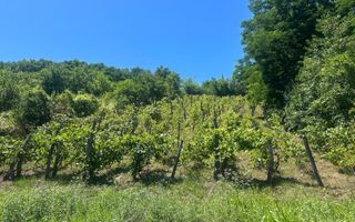 Teren intravilan de vânzare – Andrașești - Poză 3