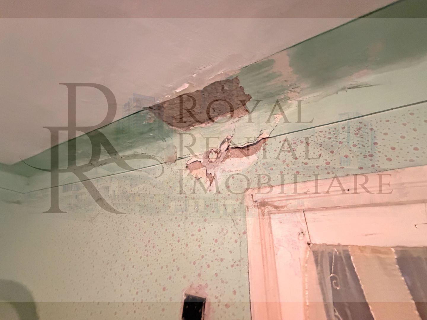 Comision 0! | Casă + teren generos | 2600 m² | Oportunitate unică - Faureni - Poză 22