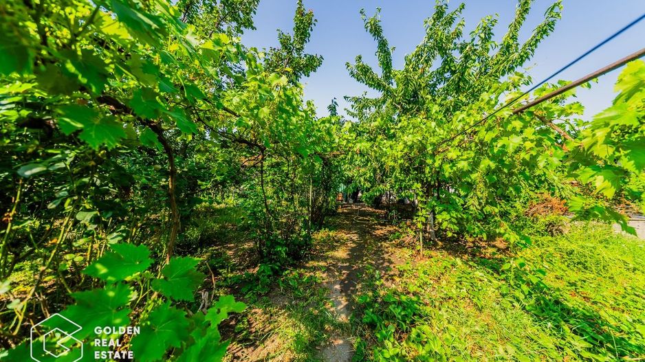 Casa cu teren 720 mp, caramida, str Dunarii (Gai) - Poză 17