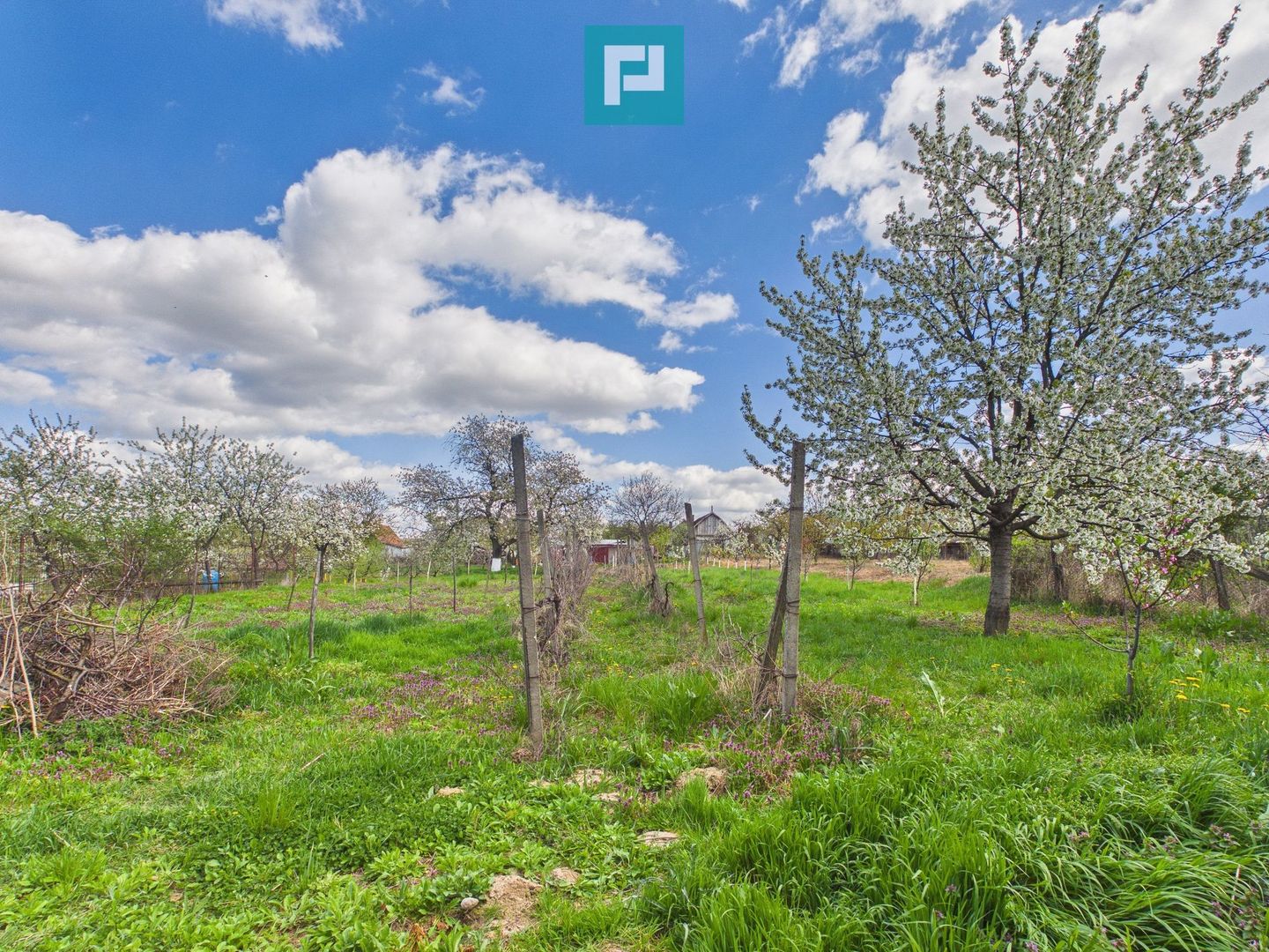 Casă cu teren 1.151mp la 25 km de Oradea, Sisterea - Poză 19