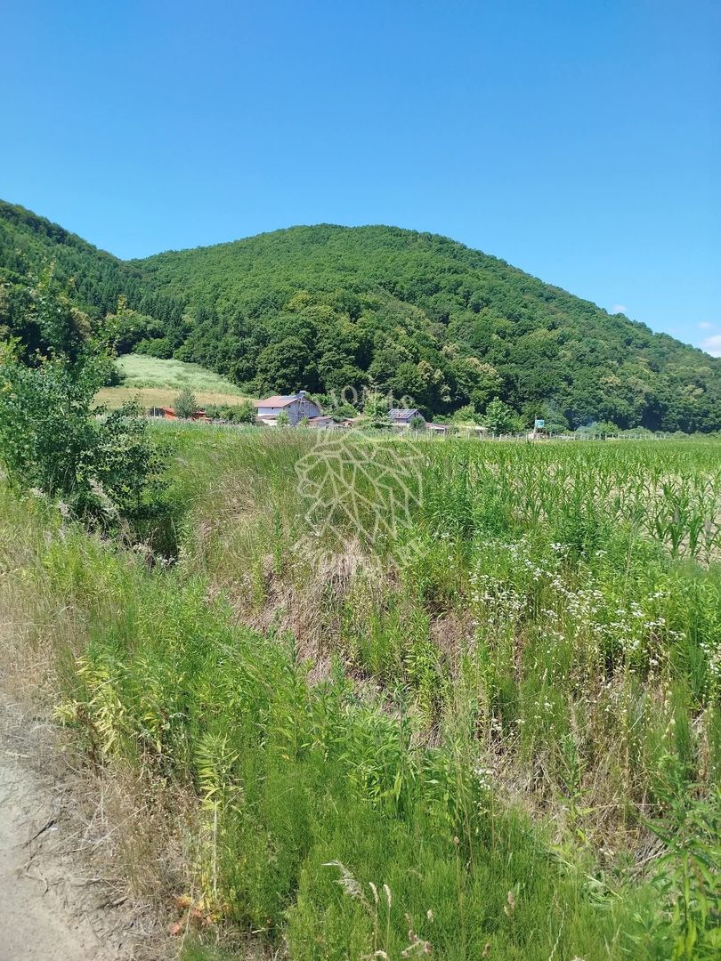 Teren 2500 mp-ideal casa, agricultura, investitie-Saratel - Poză 1