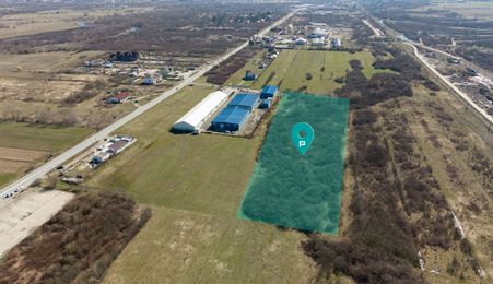 Teren extravilan de 7.000 mp lângă Păltiniș