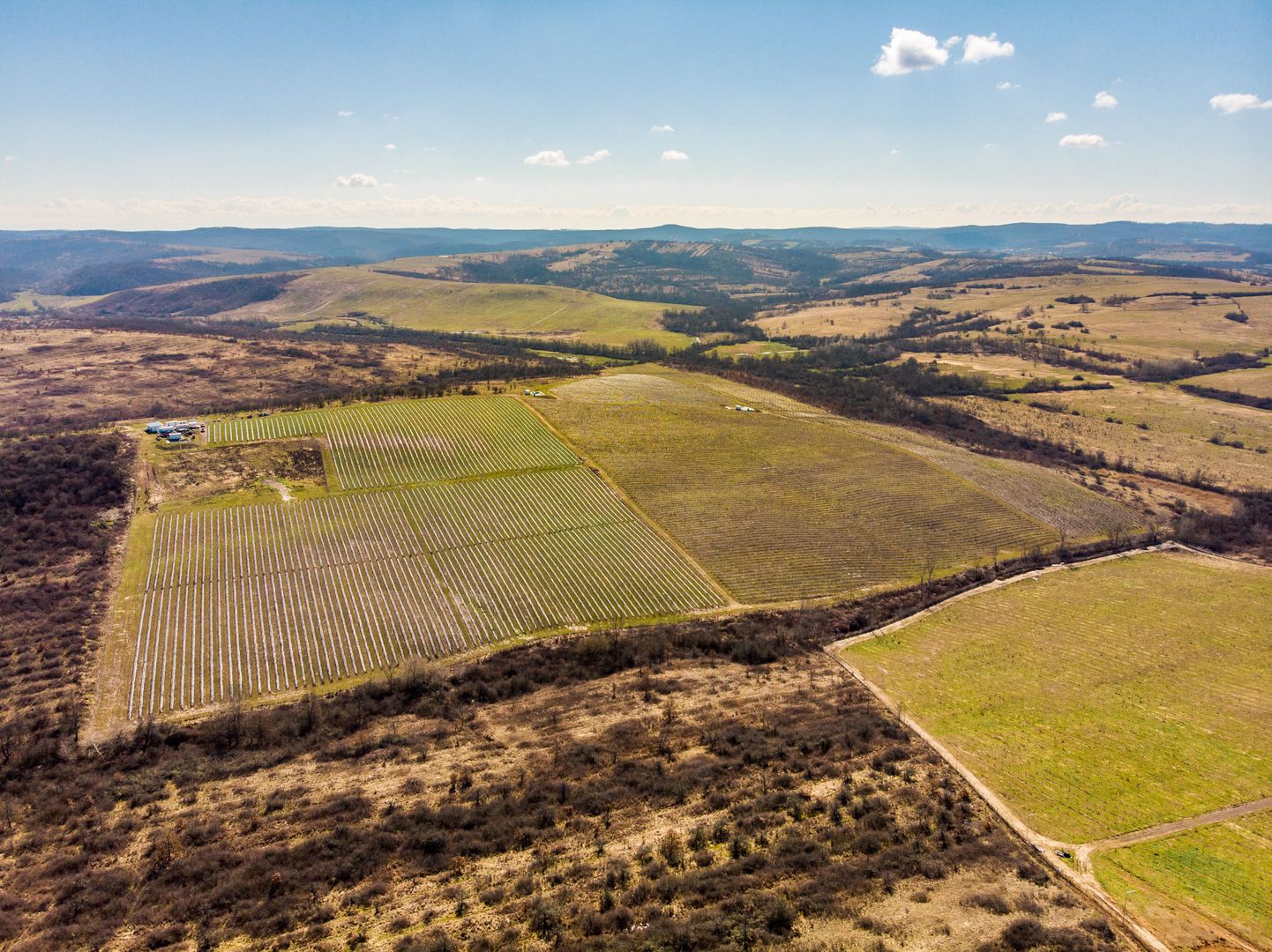 Plantație Bio de mure și zmeură  26,4 ha în Lipova - Poză 8