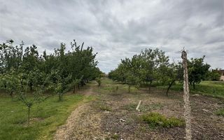 Casa cu teren de 2000mp Episcopia - Poză 2