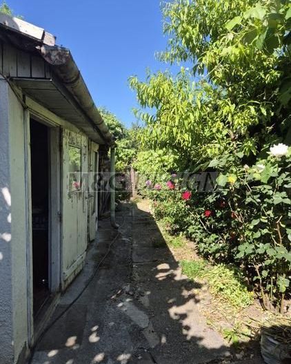Apartament 3 camere la casa - Poză 10