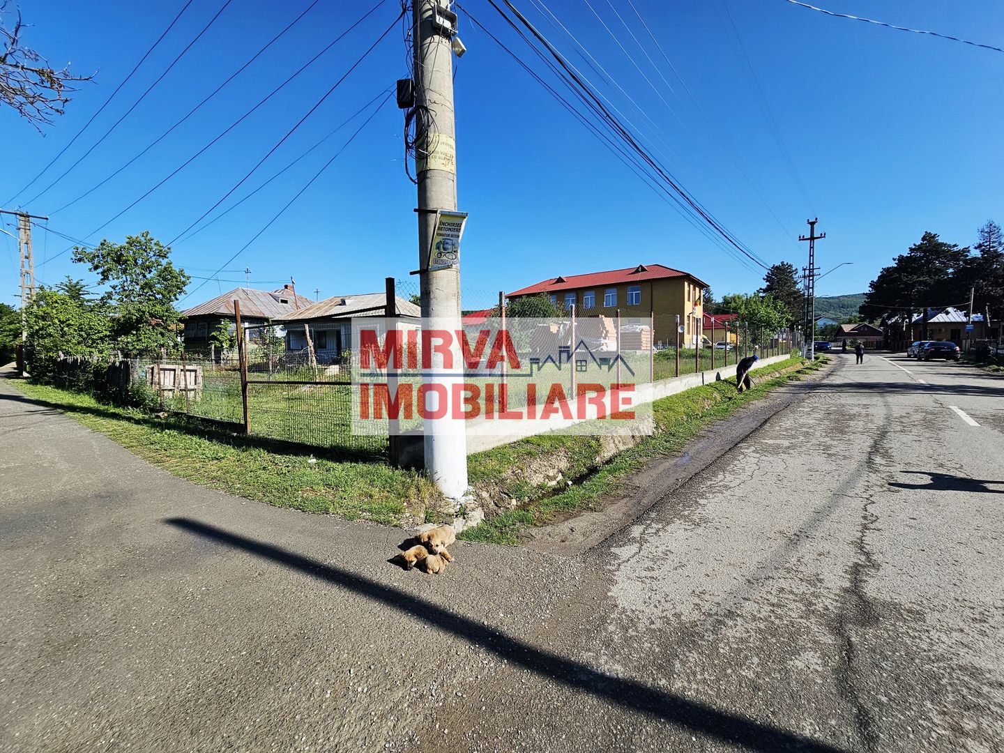 Teren de vânzare în Lapoș – 1000 mp cu beci - Poză 14