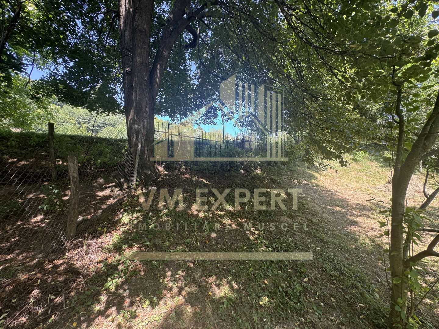 CASA 6 CAMERE TEREN 1005 MP  BUGHEA DE JOS ARGEȘ - Poză 30