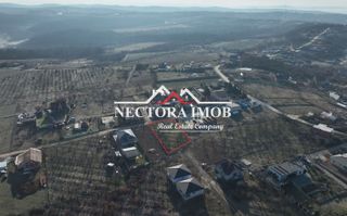 NECTORA IMOB-Teren INTRAVILAN 1000 mp, Zona PALEU, Utilitati incluse - Poză 5